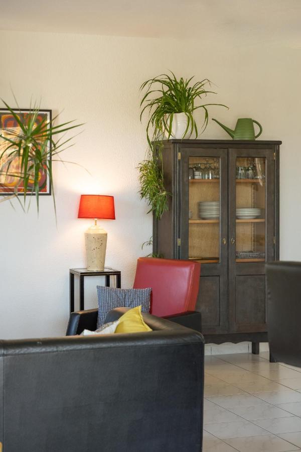 Le Clos Bellevue Appartement T3 Parking + Piscine 罗德兹 外观 照片